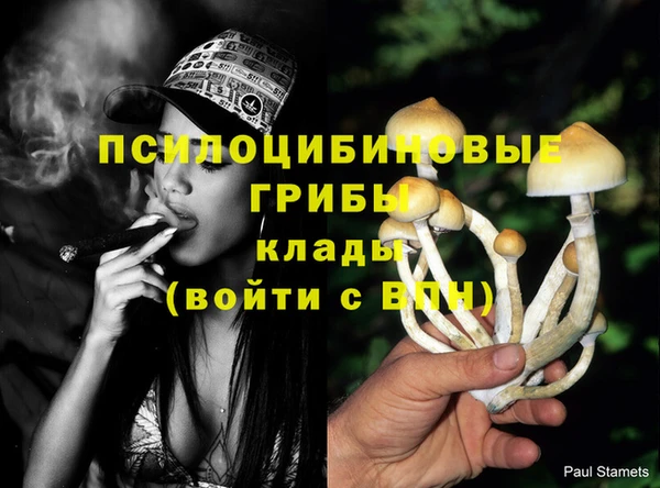 бутират Арсеньев